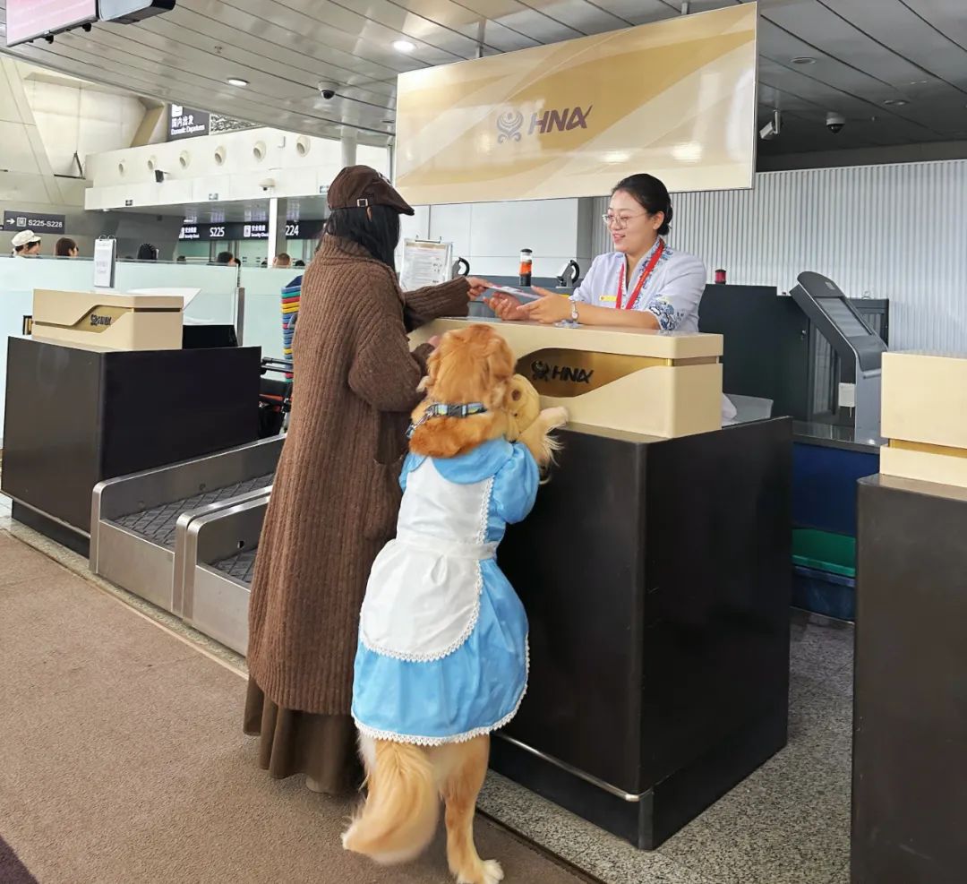 海南航空宠物包机航班,携宠旅客办理值机