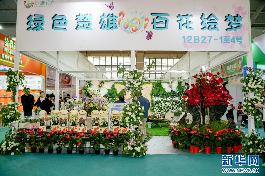 楚雄州花卉展区（6月20日摄）。新华网发（周润元 摄）