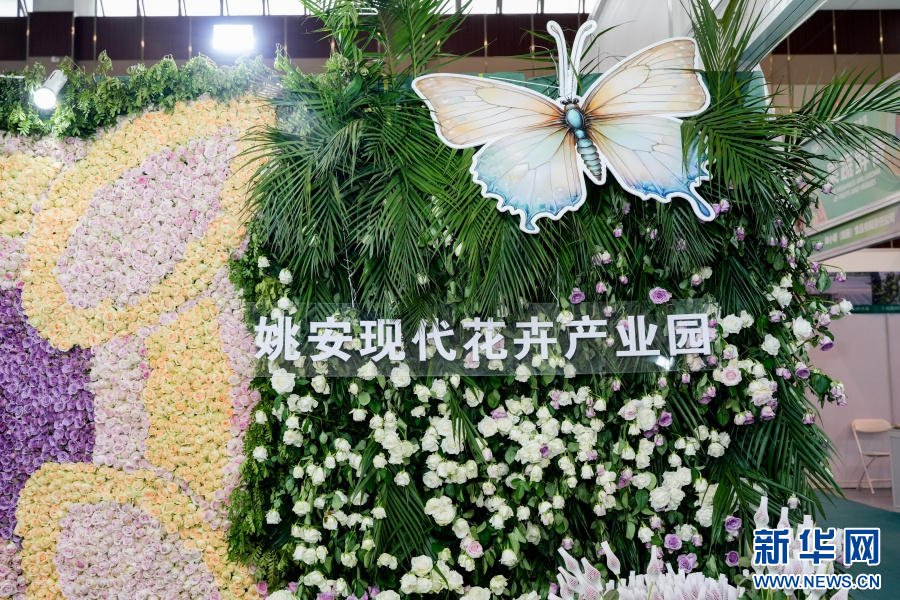 展台内的花卉装置（6月20日摄）。新华网发（周润元 摄）