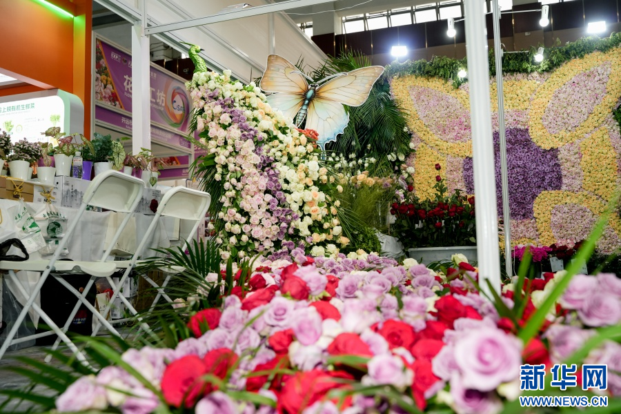 陈列的花卉装置（6月20日摄）。新华网发（周润元 摄）