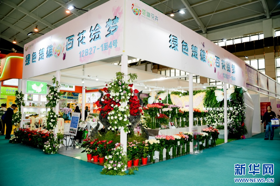 楚雄州花卉展区（6月20日摄）。新华网发（周润元 摄）