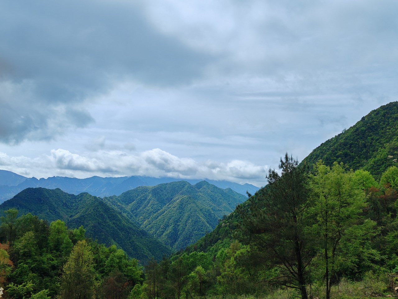 清凉峰镇 杭州清凉峰茶文旅有限公司供图