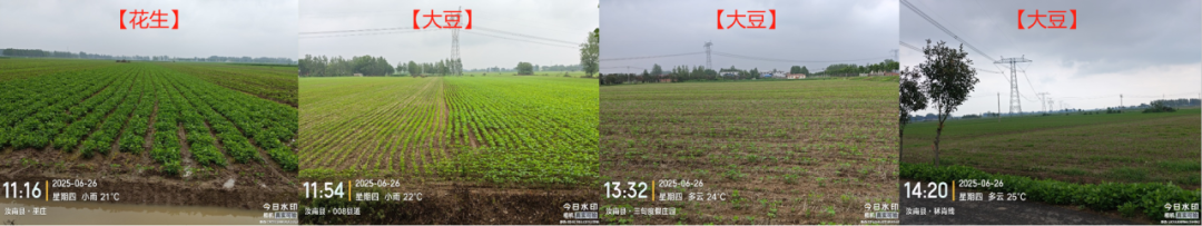 数据来源:各级统计年鉴、其他公开资料,中粮期货研究院