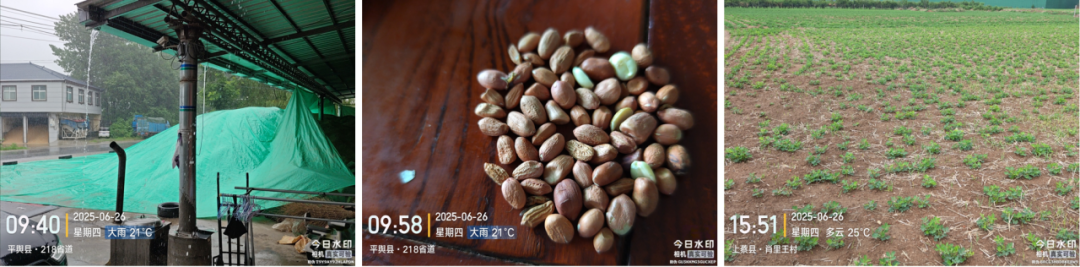 数据来源:各级统计年鉴、其他公开资料,中粮期货研究院