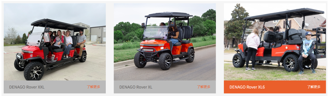 涛涛车业旗下Denago品牌的电动高尔夫球车(来源:涛涛车业官网)