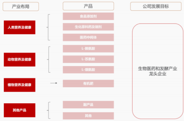 资料来源:公司公告