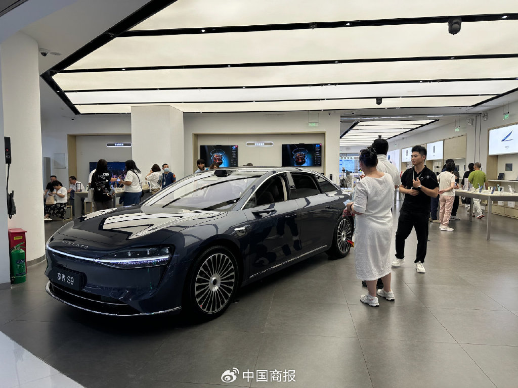 2025年上半年,各大汽车品牌呈现出差异化的竞争格局。