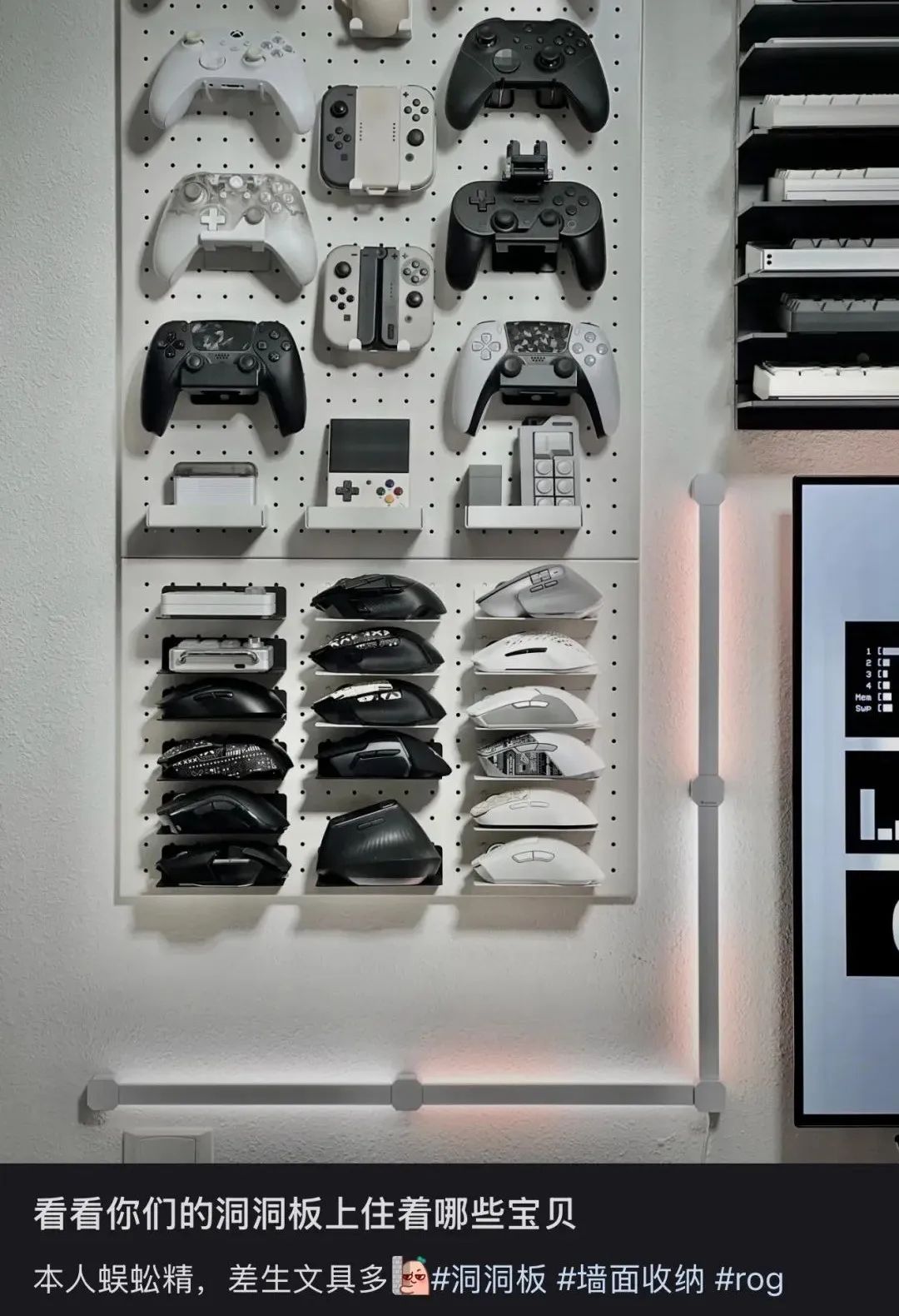 图源:小红书用户@Michaelexclamationmark