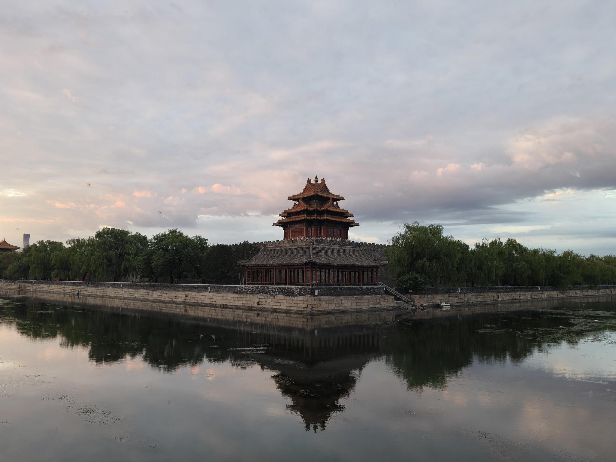 罗冰摄