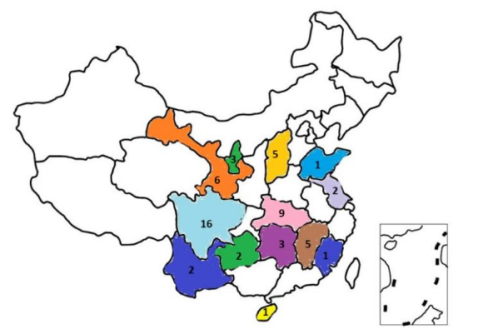 资料来源:公司财报