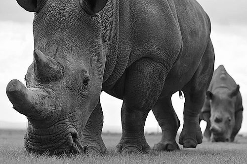 图片来源:Tony Karumba/AFP via Getty