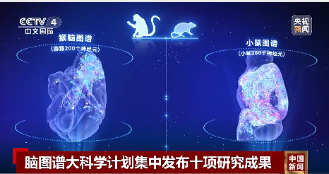 图片来源:央视新闻视频截图