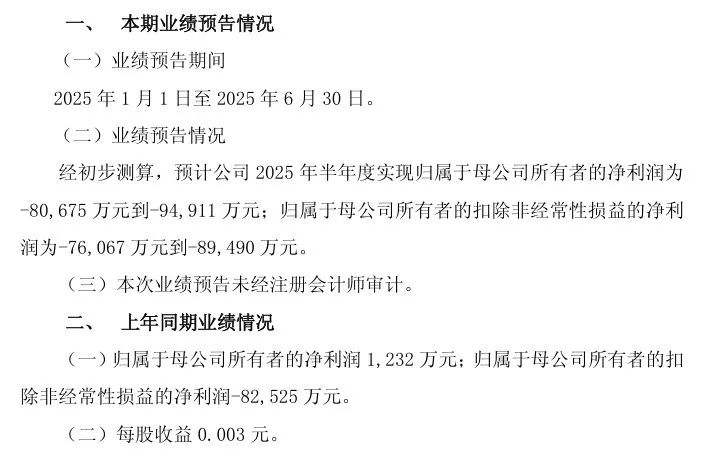 来源:公司2025年半年度业绩预告
