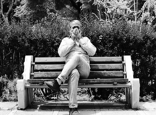 图片来源:mohammad hosein safaei/Unsplash