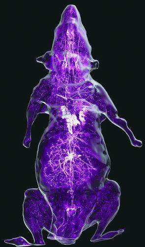 中国科学技术大学供图