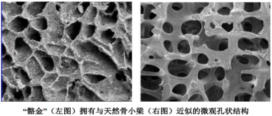 资料来源:公司招股说明书
