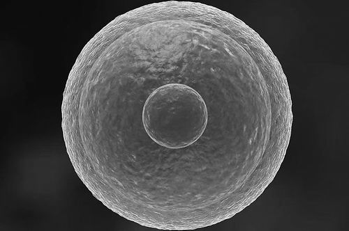 图片来源:Sebastian Kaulitzki/Alamy