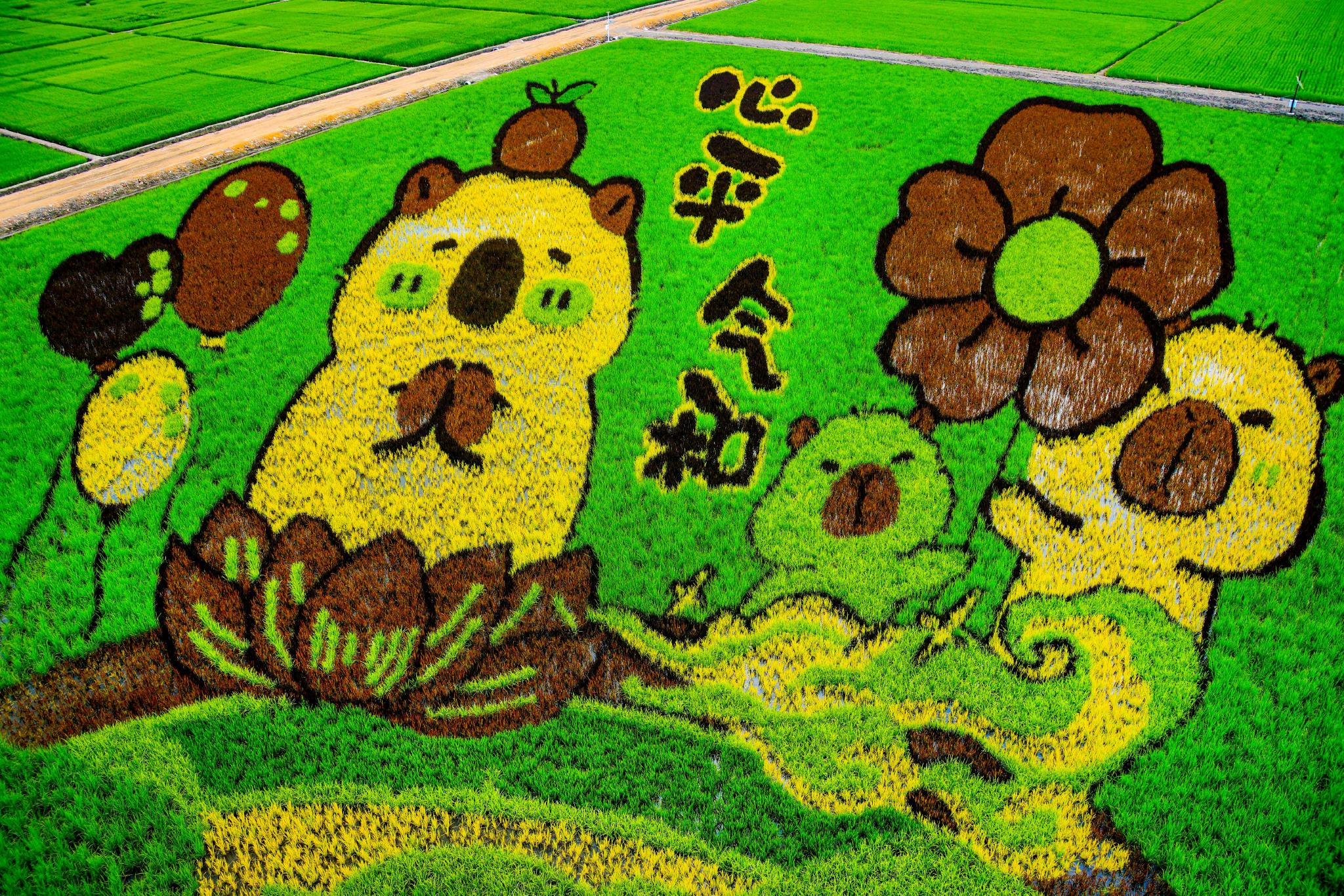 稻田画“心平气和”