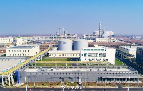 图为中化国际某化工生产基地。图源:中化国际官网