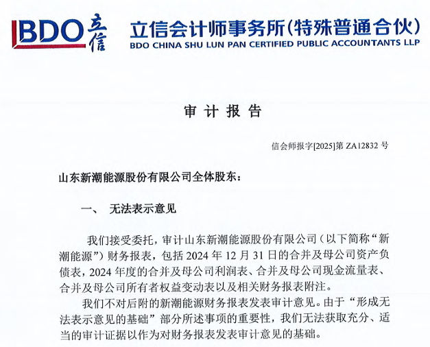 来源:公司2024年度审计报告