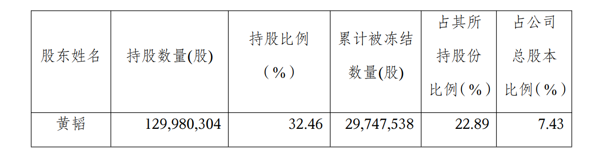 丽人丽妆公告截图