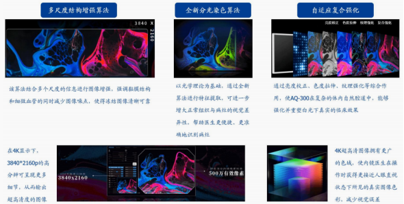 资料来源:公司公众号