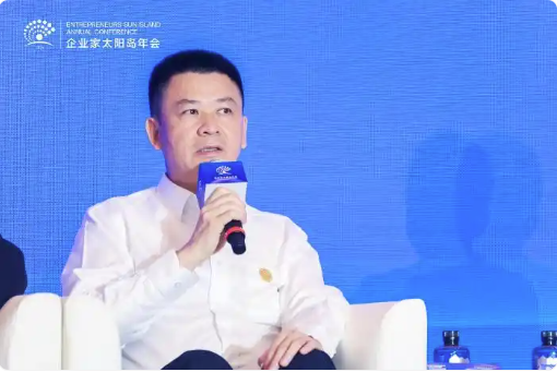 中国机械国际合作股份有限公司党委书记、董事长夏闻迪发言。新华网 发