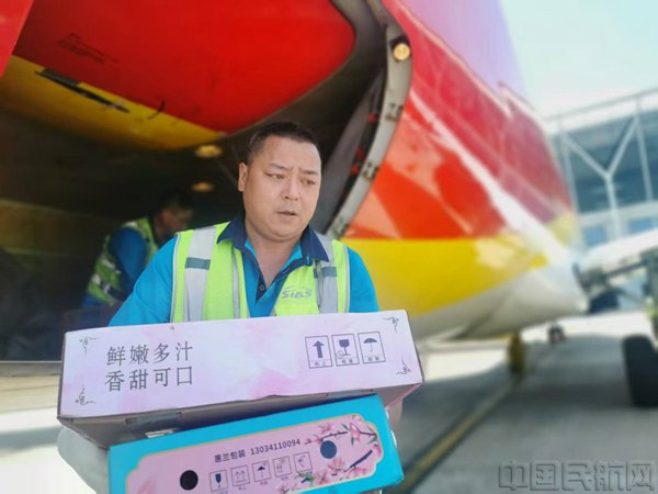 浦东机场机坪上,行李装卸员轻拿轻放,装卸行李