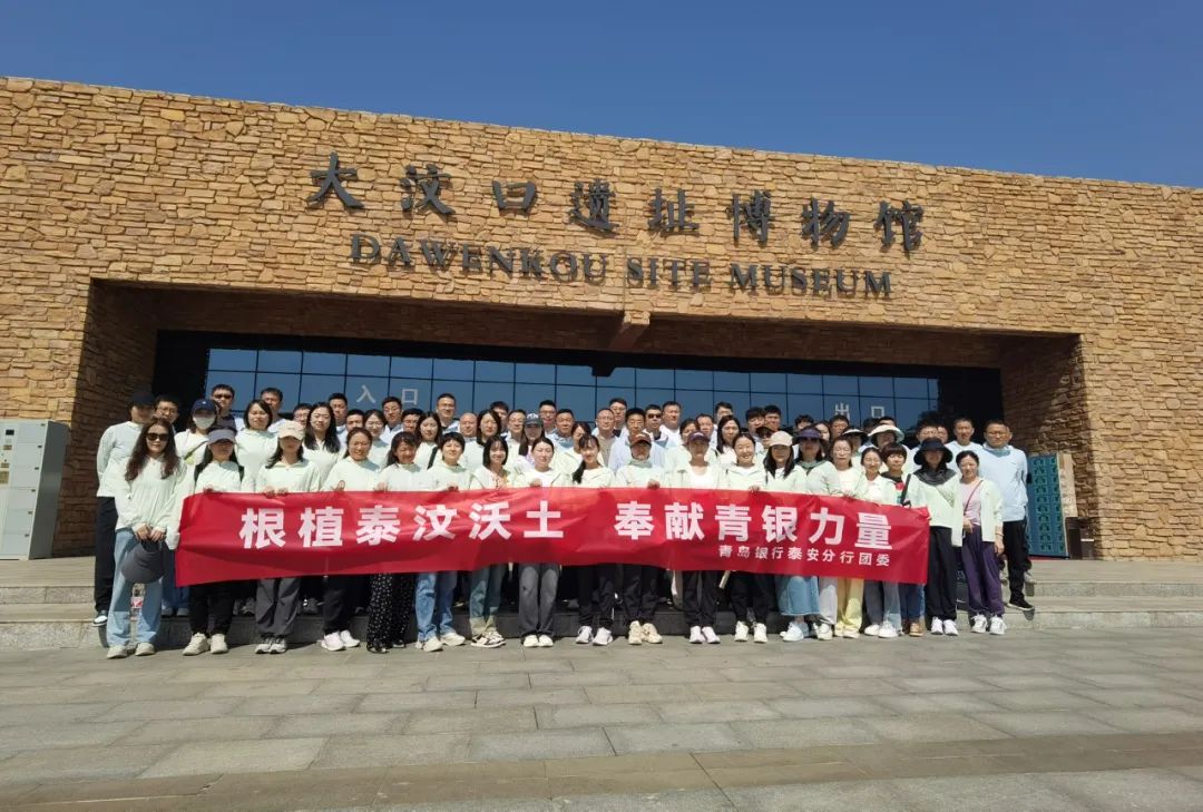开展“根植泰汶沃土,贡献青银力量”主题团日活动