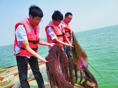 烟台海岸带所供图