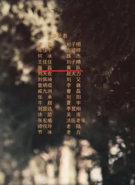 《家有儿女》“夏东海”扮演者高亚麟及关联公司被执行310万元，此前788万元股权被冻结，期限3年