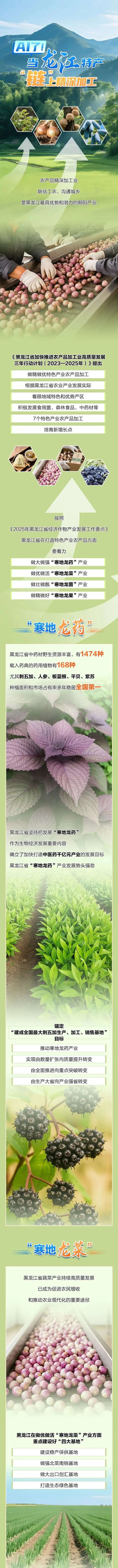 AI了！当龙江特产“链”上精深加工