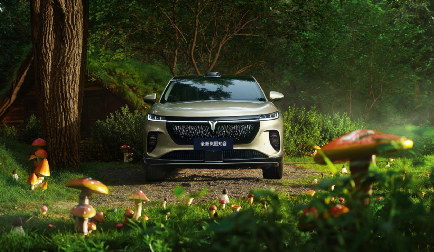 图片来源:岚图汽车