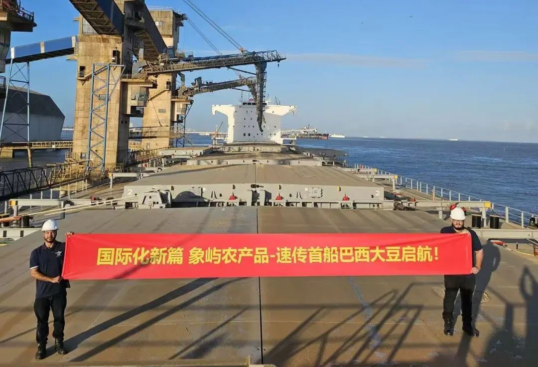 ▲象屿首船巴西进口大豆FOB海运业务落地