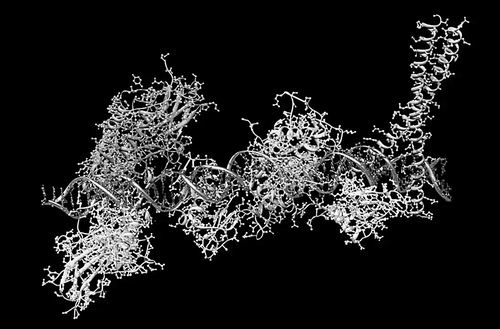 图片来源:Martin McCarthy