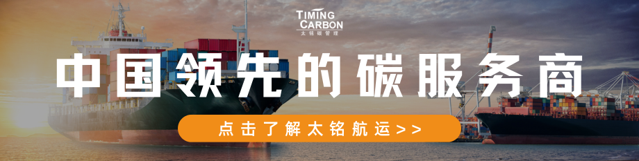 “东方木棉花”轮入会 中国船东互保协会保赔险入会总吨突破1亿！ | 航运界