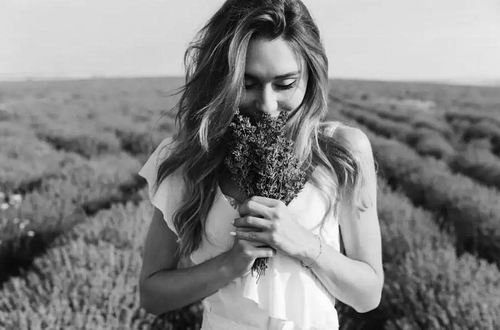 图片来源:DeanDrobot