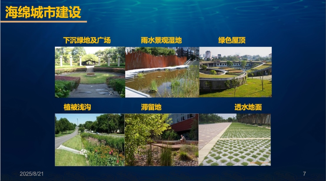 图片来源:受访者供图