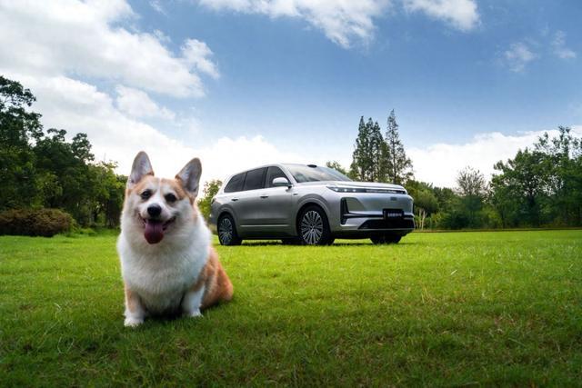 人民的M9来了！吉利银河M9开启预售