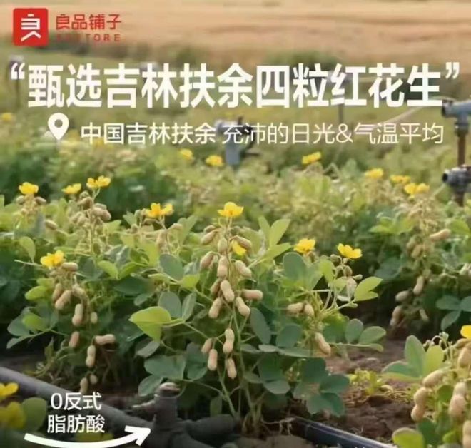 早报｜小米营销遭苹果三星联合起诉/华为官宣 MatePad Mini/特斯拉推出高性能版 Model Y