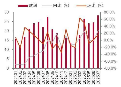 资料来源:InfoLink,山西证券研究所