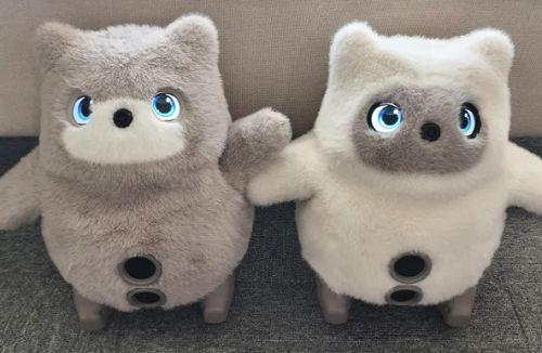 ▲Niko和Noa(图源:The Verge)