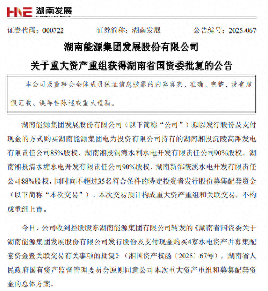 图片来源于湖南发展公告截图