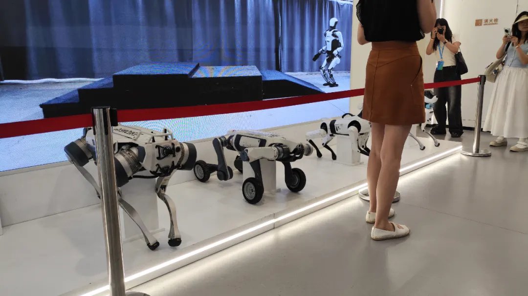 云深处科技展出的“绝影”系列四足机器人。任德辉 摄