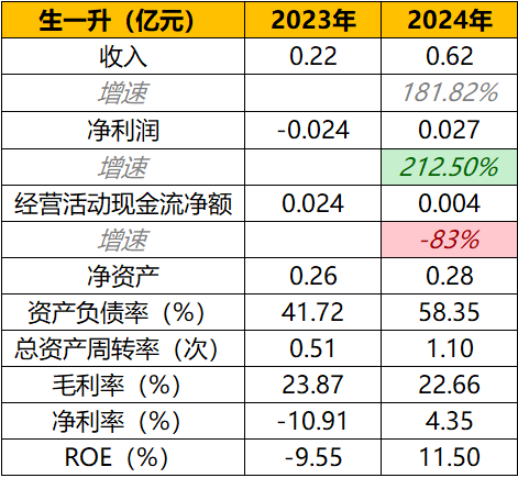 图:主要财务数据