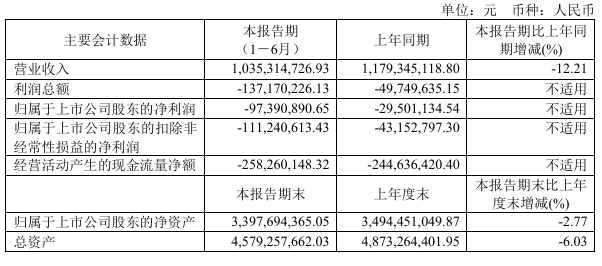 (图表来源:香飘飘2025年半年度报告)
