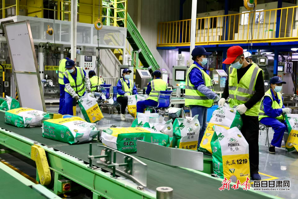 精选车间内工人井然有序地工作新甘肃·每日甘肃网记者陈德政摄