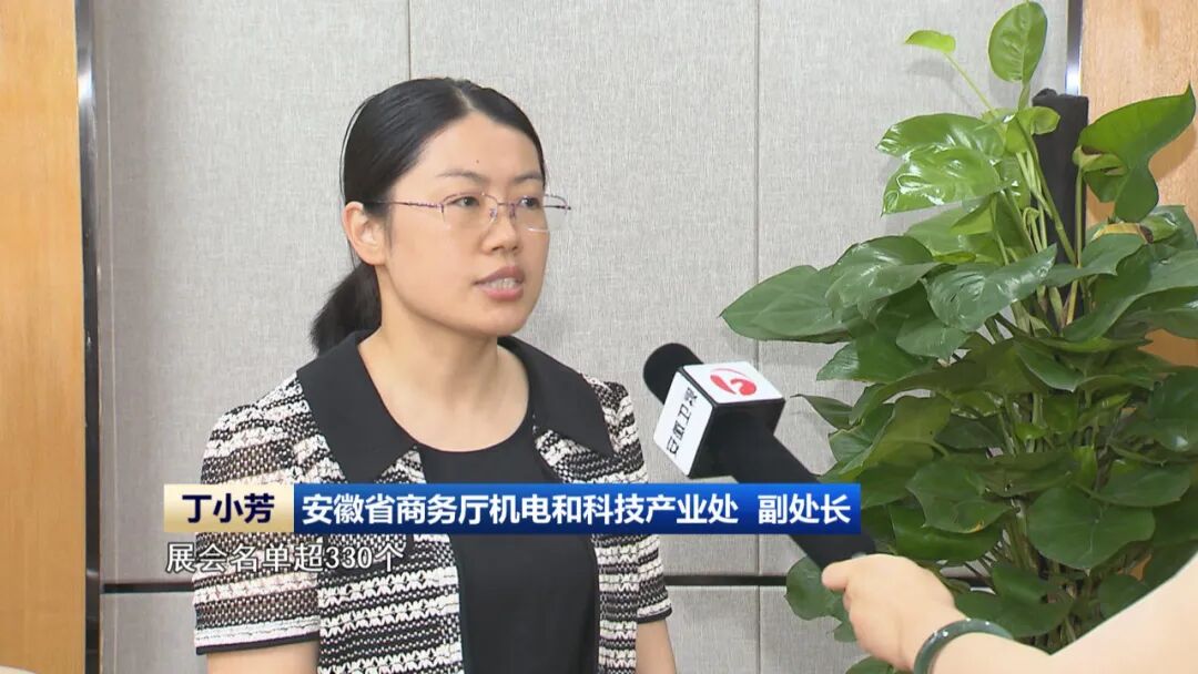 安徽省商务厅机电和科技产业处副处长 丁小芳