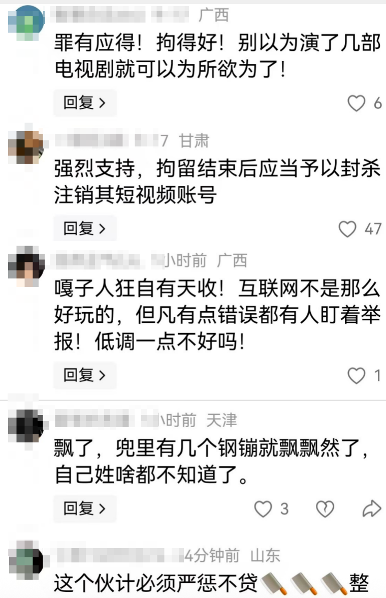 部分网友评论截图。