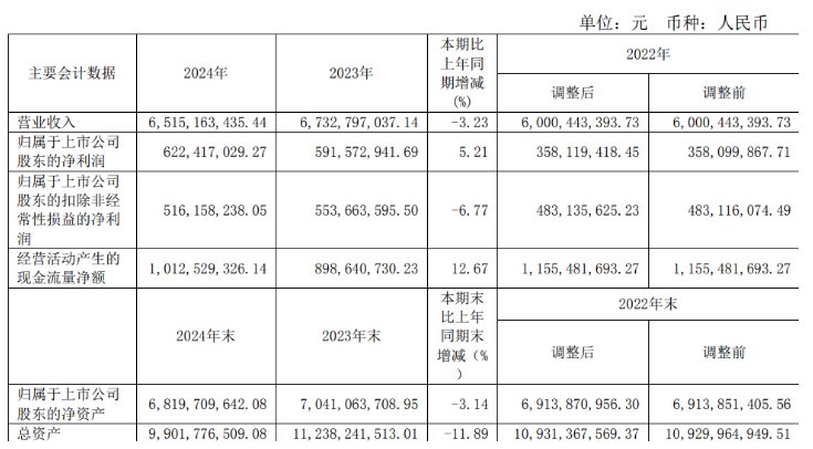 (来源:康恩贝2024年年报)